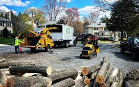 Best Tree Mulching  in Crivitz, WI