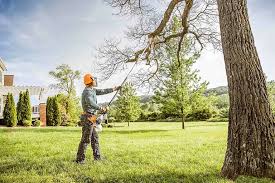 Best Soil Testing and Treatment  in Crivitz, WI