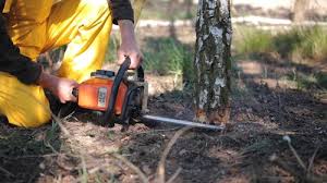 Best Pest Control for Lawns  in Crivitz, WI