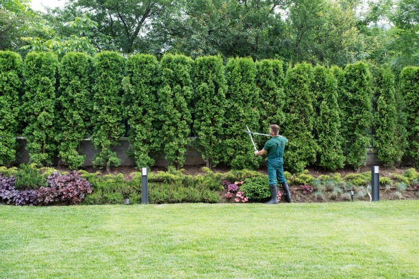 Best Landscape Design and Installation  in Crivitz, WI