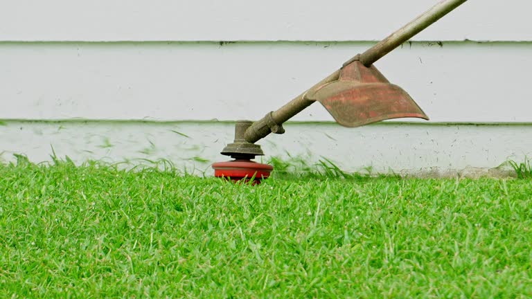 Best Hazardous Tree Removal  in Crivitz, WI